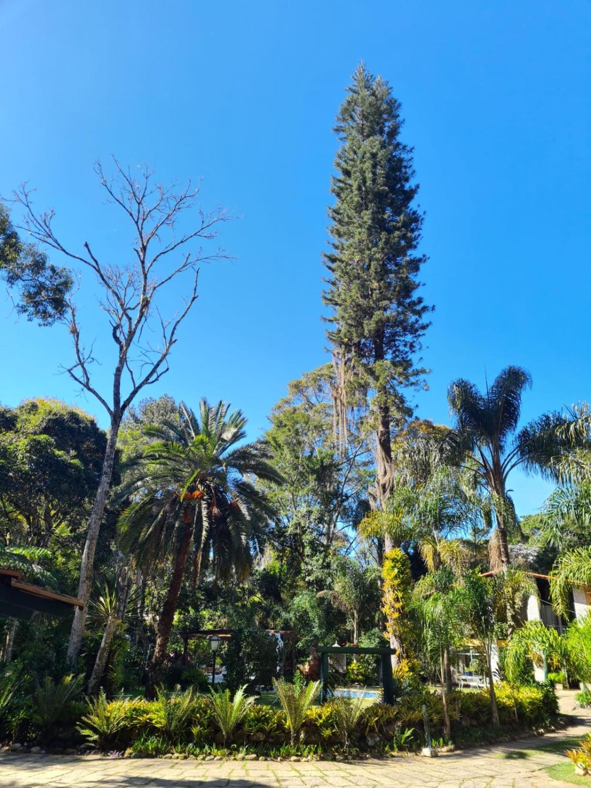 Pousada Villa Jambo Petrópolis Eksteriør bilde