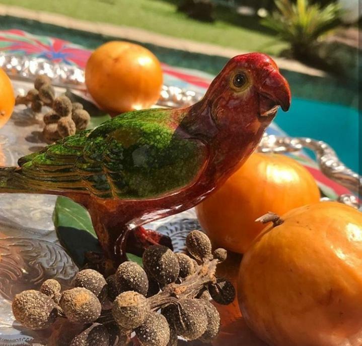 Pousada Villa Jambo Petrópolis Eksteriør bilde